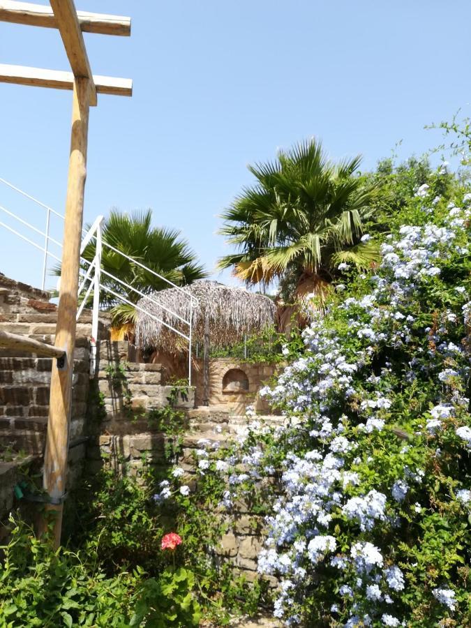 Lemon Tree Cottage Финикунда Экстерьер фото
