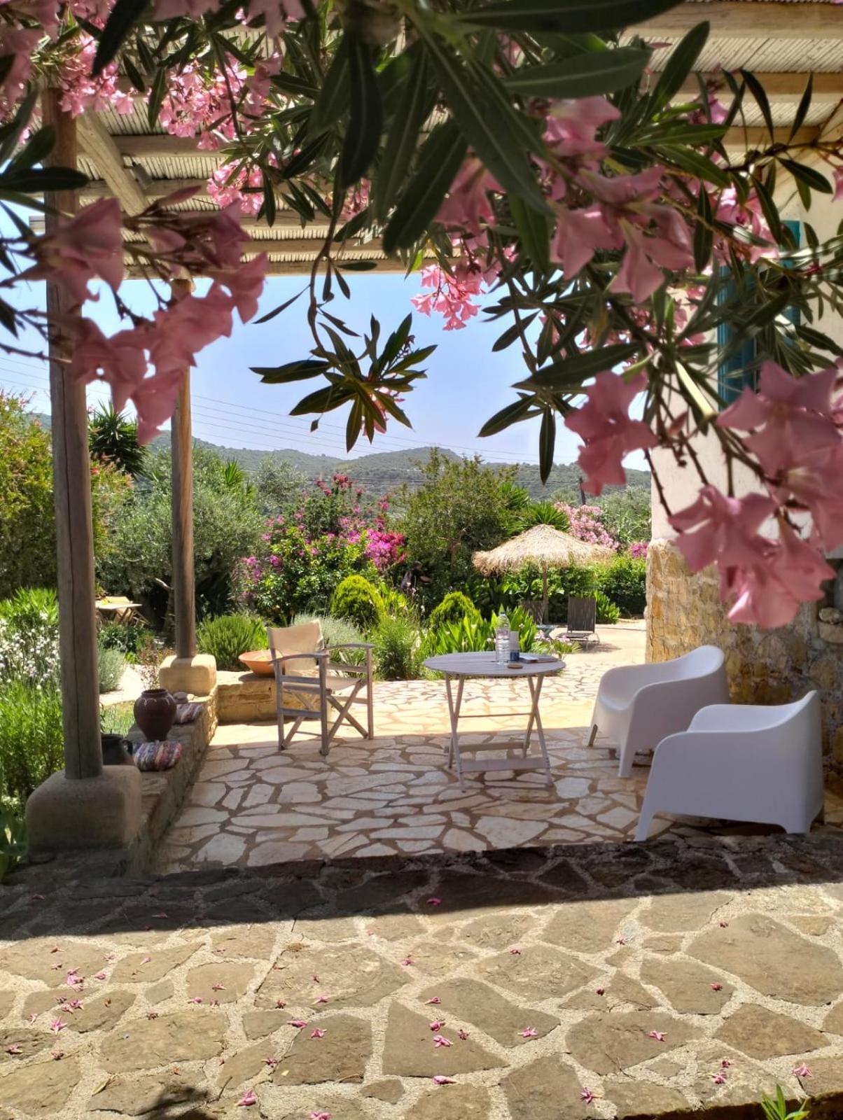 Lemon Tree Cottage Финикунда Экстерьер фото